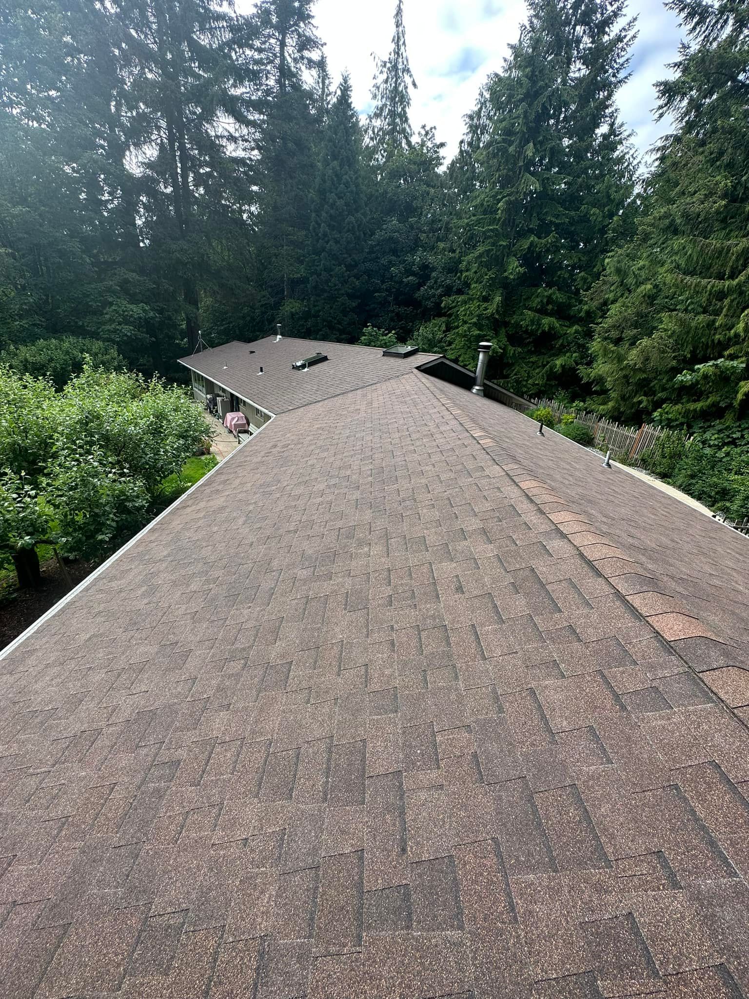 View of a house roof, covered in dark gravel and surrounded by green trees.