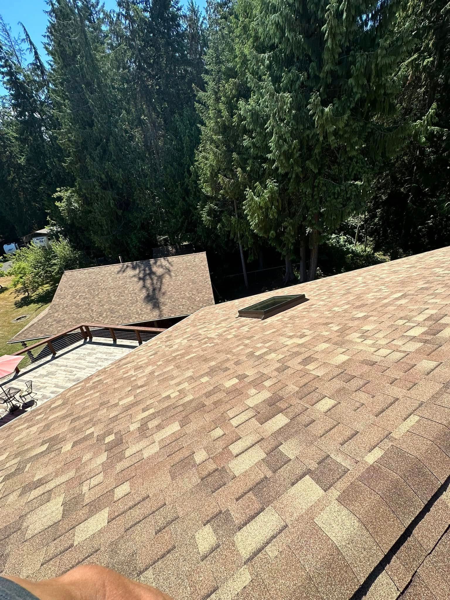 Brown shingled roof with a dark spot, trees in the background.