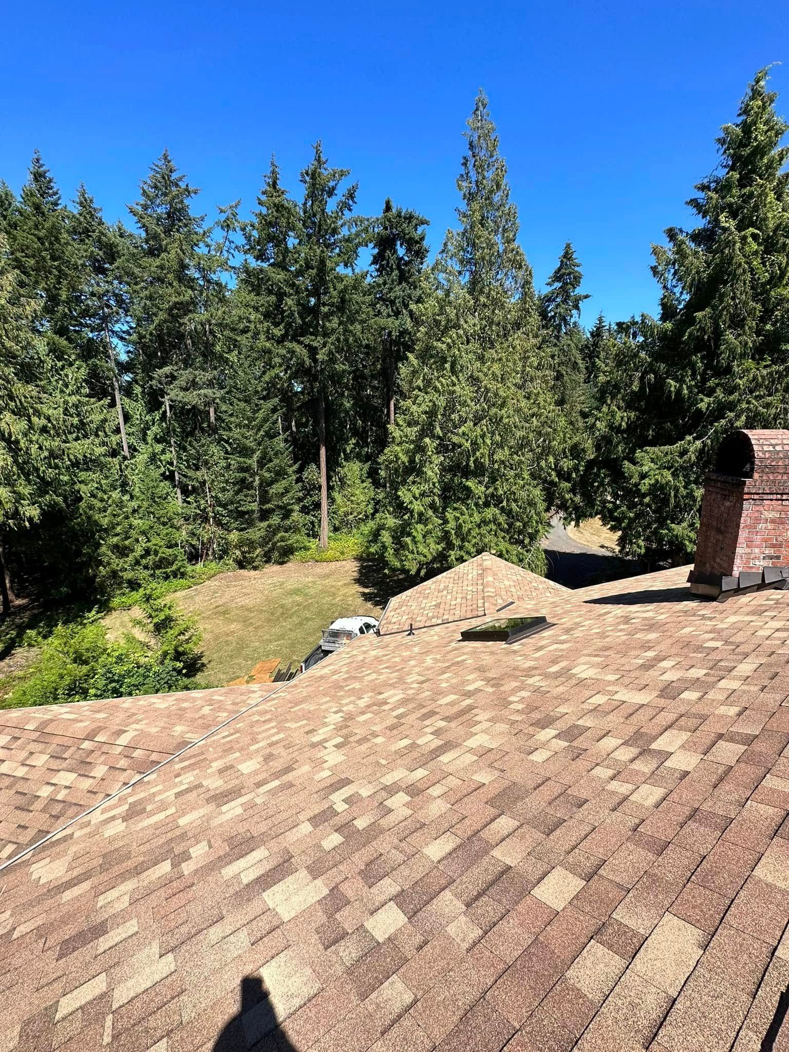 Brown shingled roof with a chimney and a view of green trees under a blue sky.