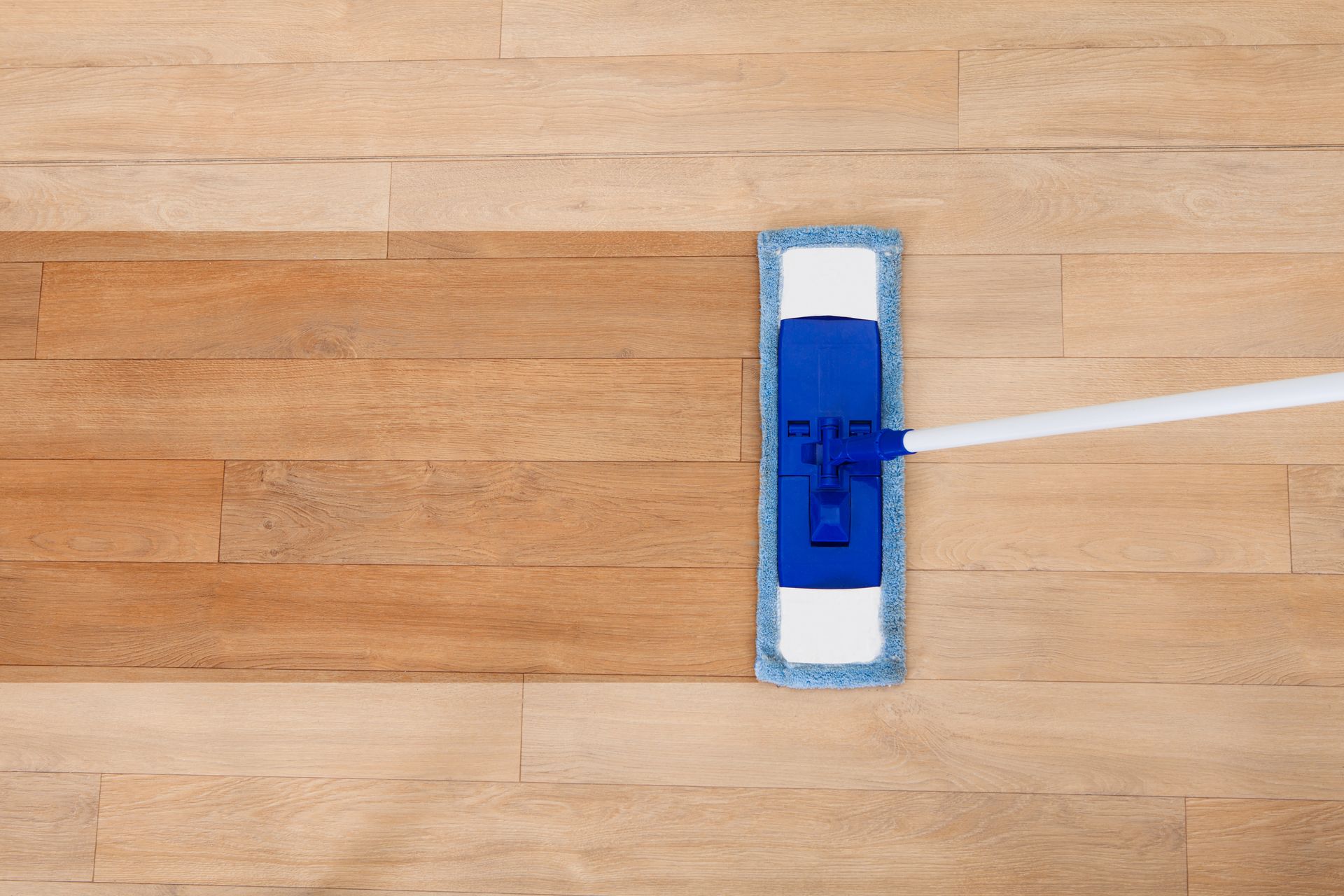 Blue mop head on a wooden floor with a white handle extending to the right.