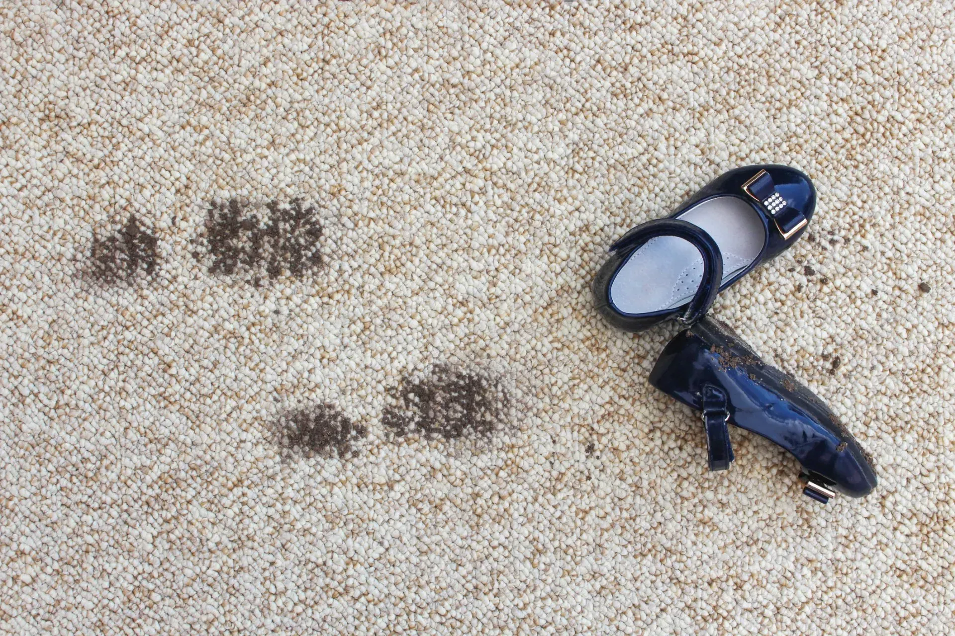 Two dark beetles on a beige textured surface beside small brown marks
