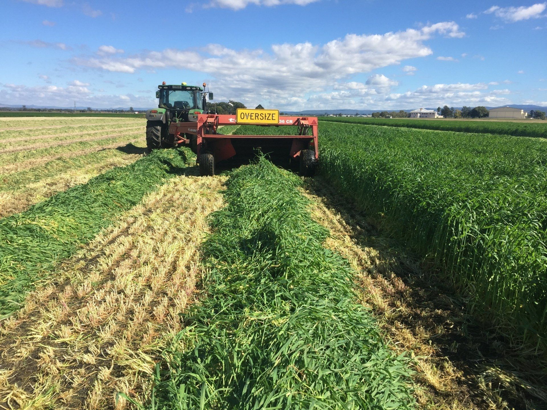 Half Cropped Field