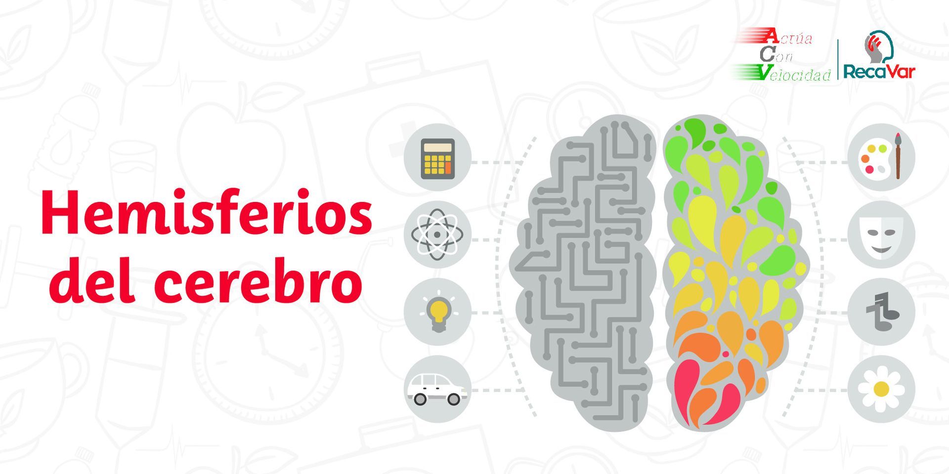 Hemisferios del cerebro Hemisferios del cerebro