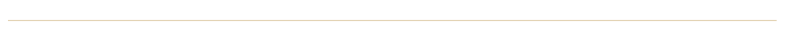 Thin beige horizontal line with a small dark blue square near the center.