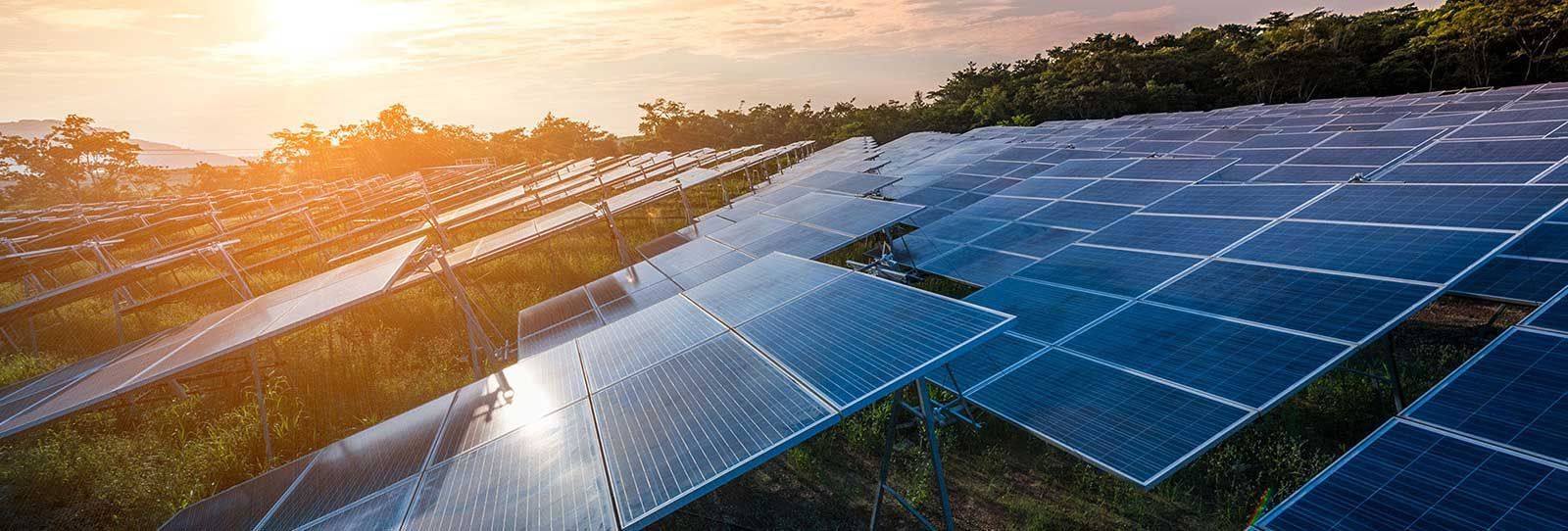 A row of solar panels sitting on top of a lush green field.