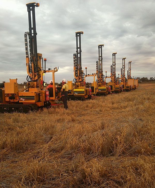 A row of yellow tractors are parked in a field