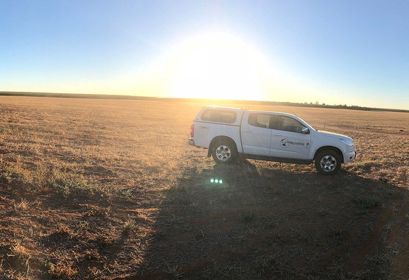 A white truck is parked in the middle of a field at sunset.