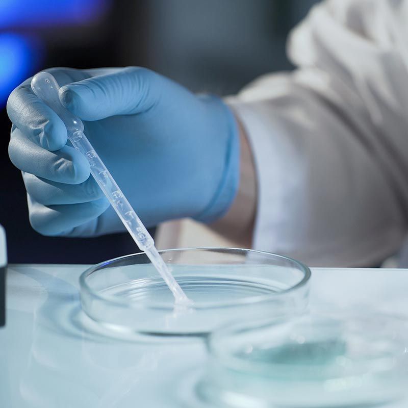 LABORATORIO BIOTECH