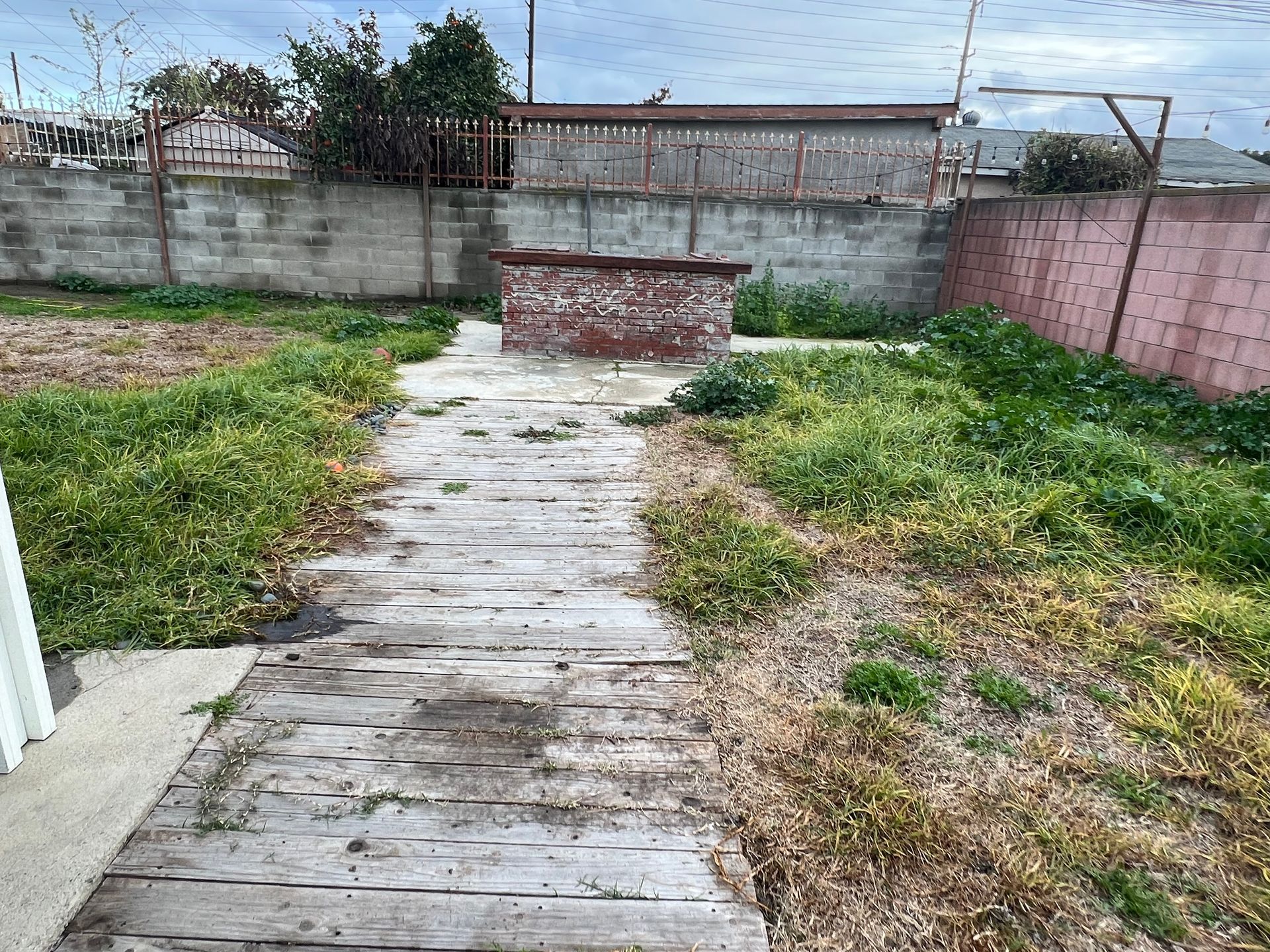 weeds and dirt back yard before pet turf