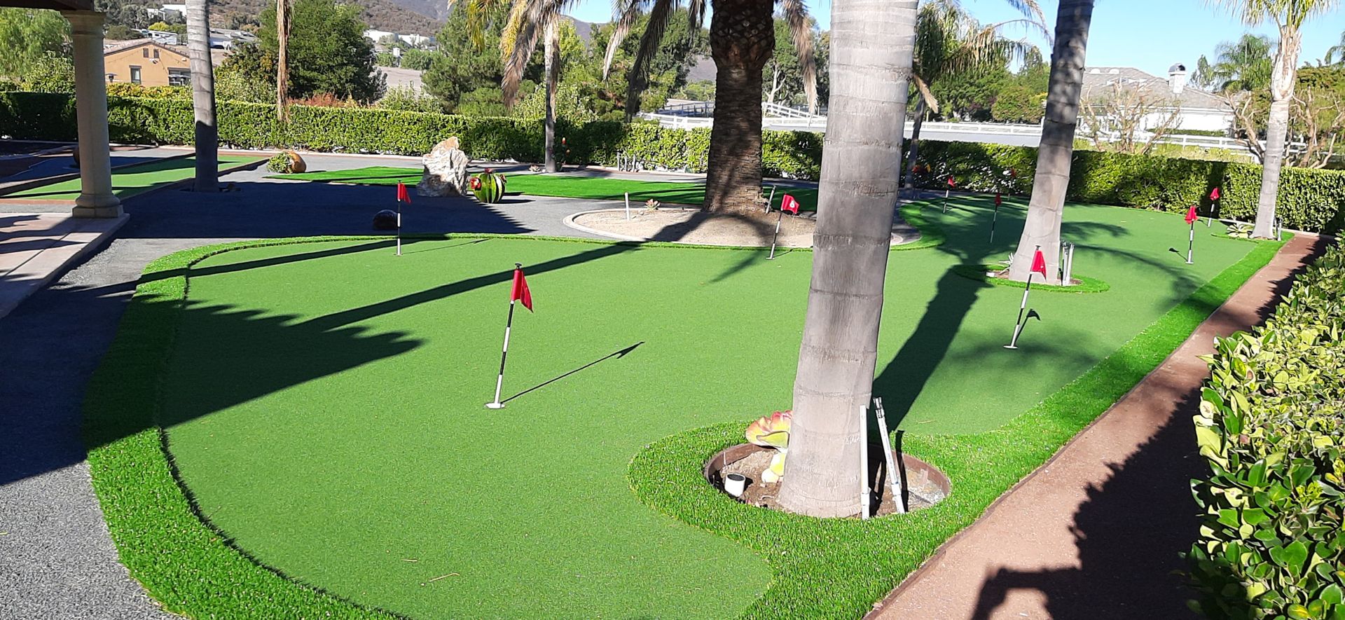 SYnthetic putting green and DG HH