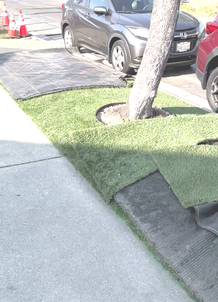 Damaged parkway artificial grass