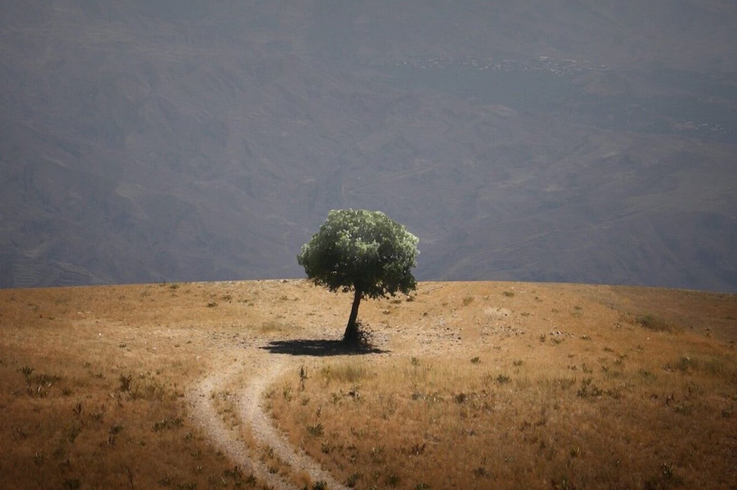 Land Trusts