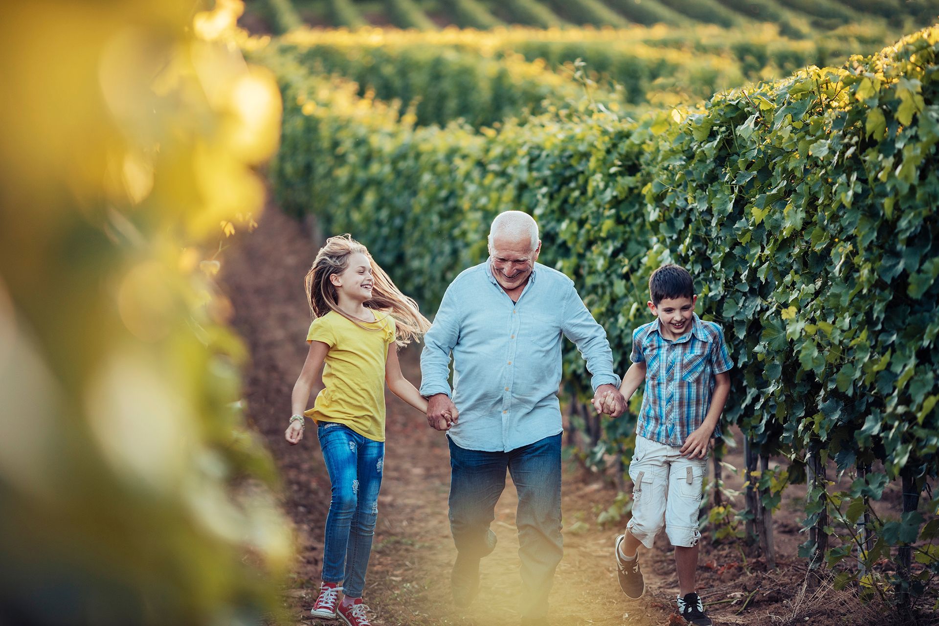 What is Legacy Planning?