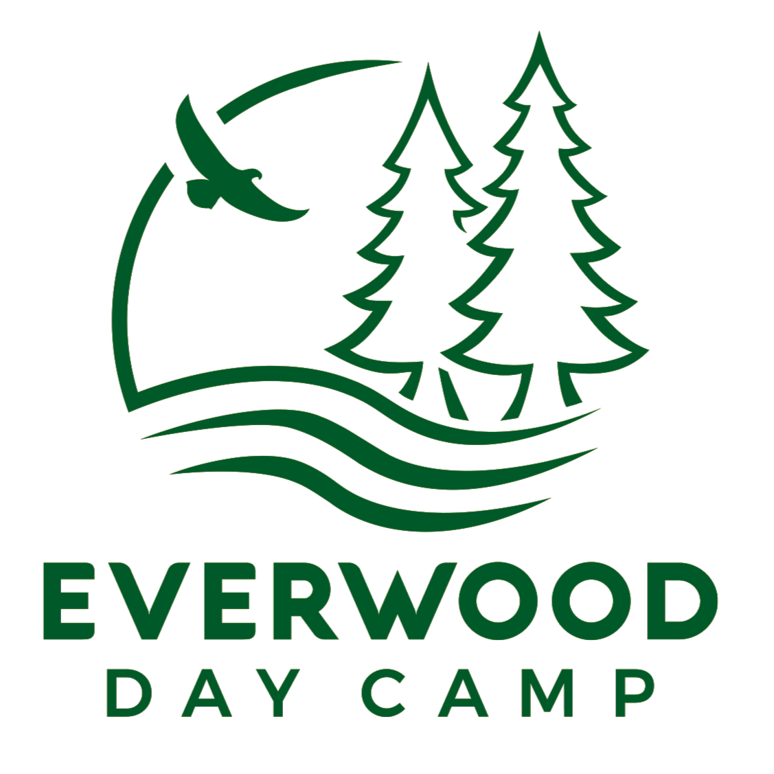 Green Everwood Day Camp logo with trees, waves, and a bird silhouette