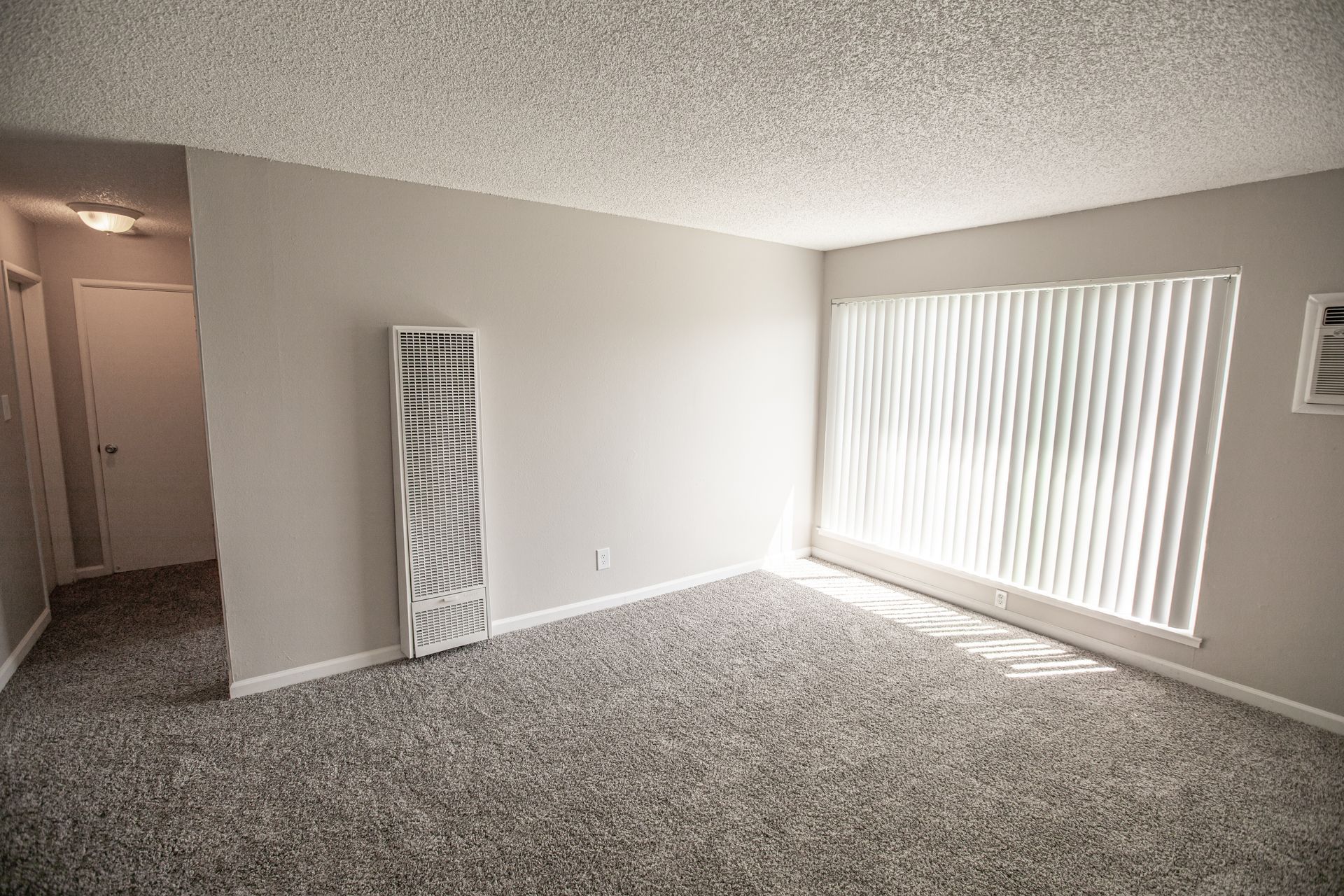 Empty beige living room with carpet, wall mirror, and vertical blinds letting in sunlight