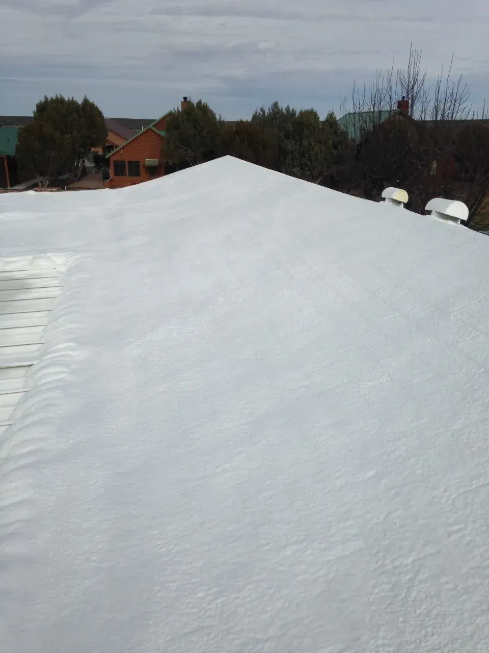 Snow-covered roof in a residential yard with trees and houses in the background