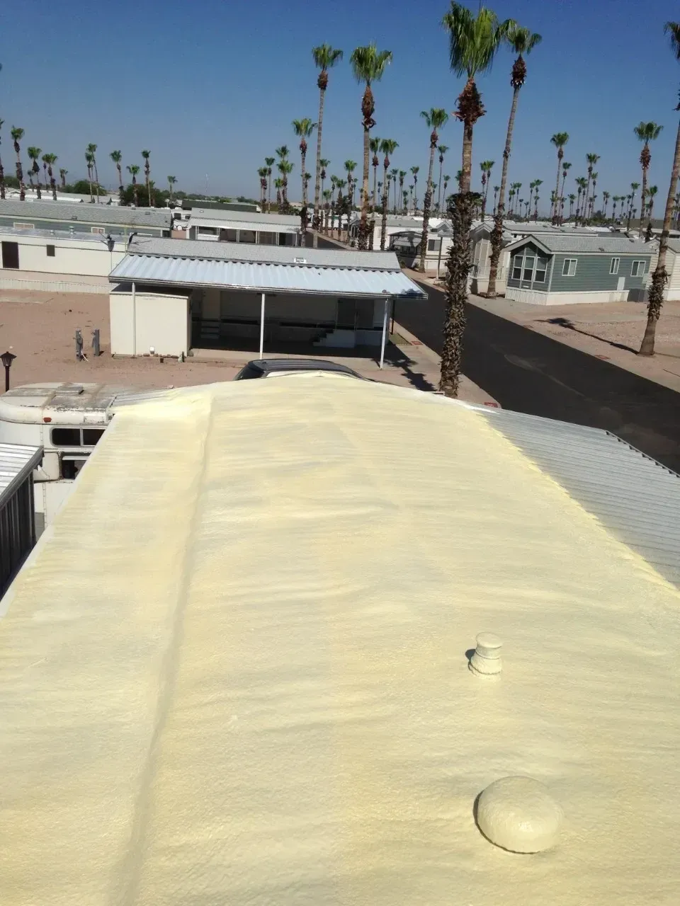 Rooftop view of a sunny desert neighborhood with palm trees and pale blue buildings