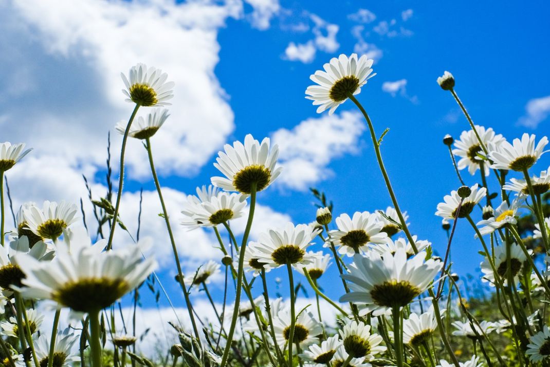 Arredamento moderno
