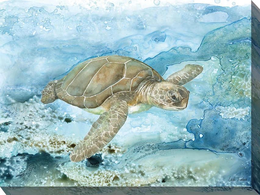Sea turtle swimming underwater in a blue ocean scene.