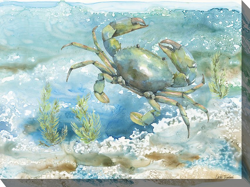 Blue crab swimming underwater above sandy seafloor with seaweed and bubbles