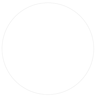 A white circle with a gray outline on a white background.