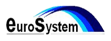 Logo EuroSystem in testo nero con strisce curve blu sopra il marchio denominativo