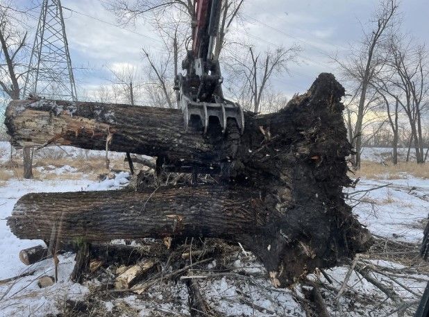Land Clearing - Cedar Rapids, IA - Venture Concrete & Excavating LLC