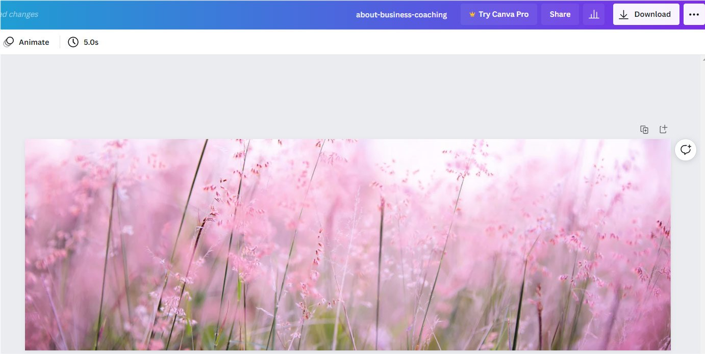 website header image