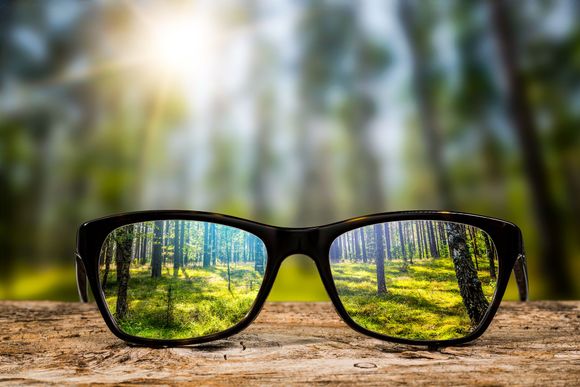 Black eyeglasses on a log reflecting a sunlit forest path with blurred trees behind