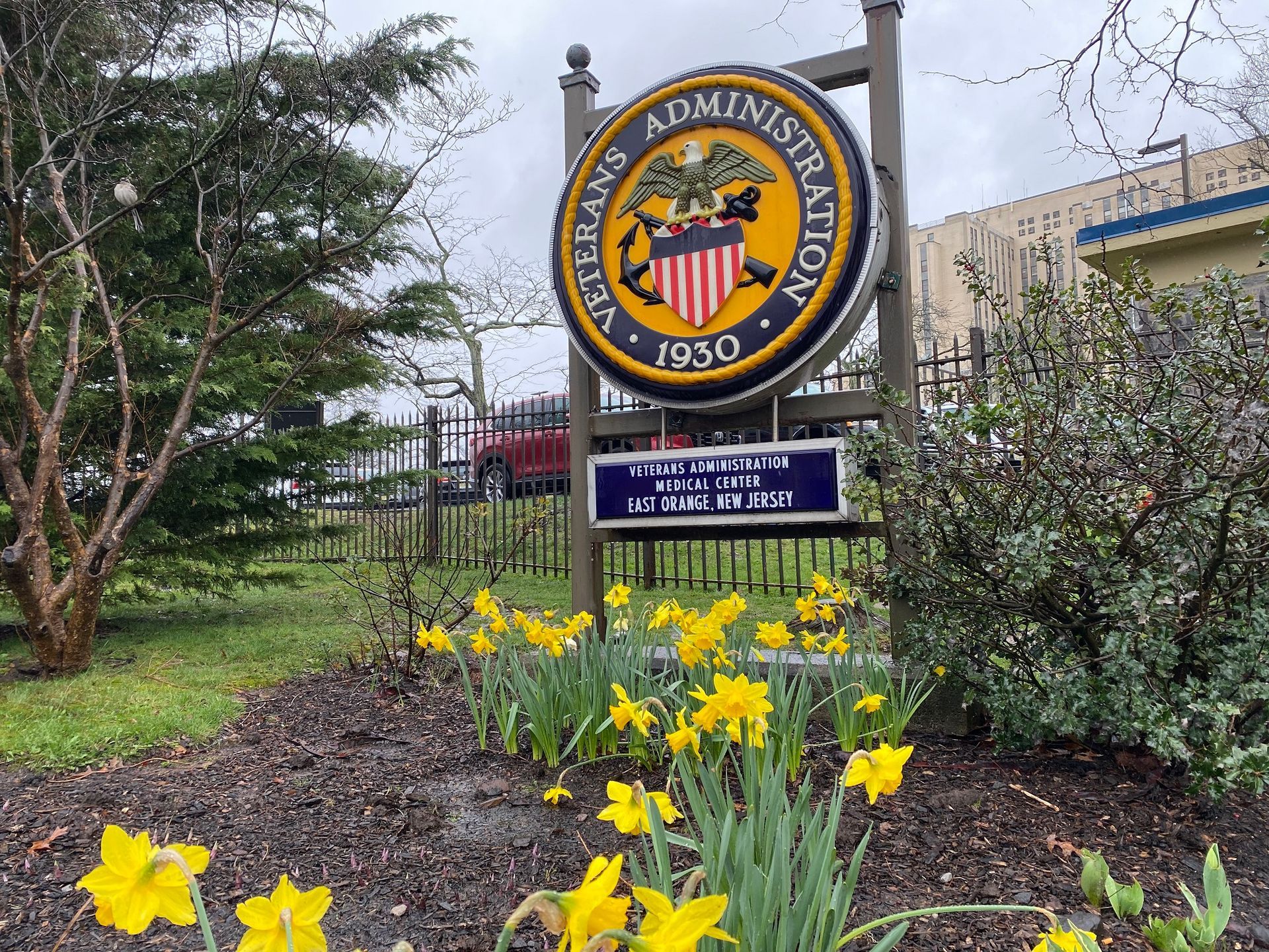 Sign for Veterans Administration with yellow daffodils in front.