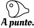 A punto LOGO