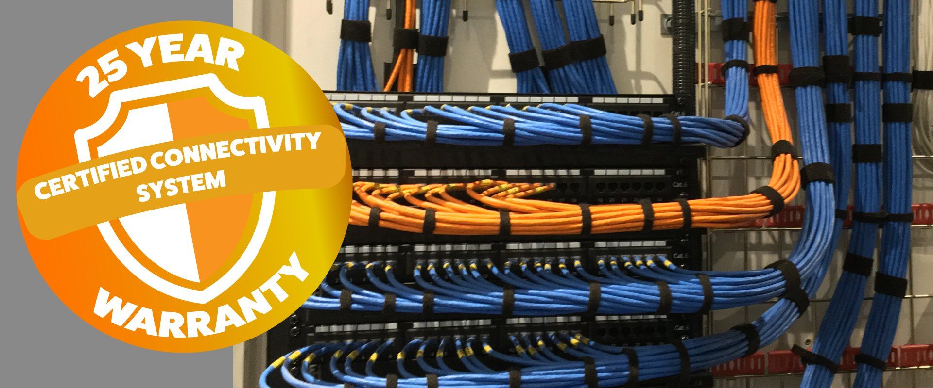 Photograph of a patch panel and 25 year warranty badge
