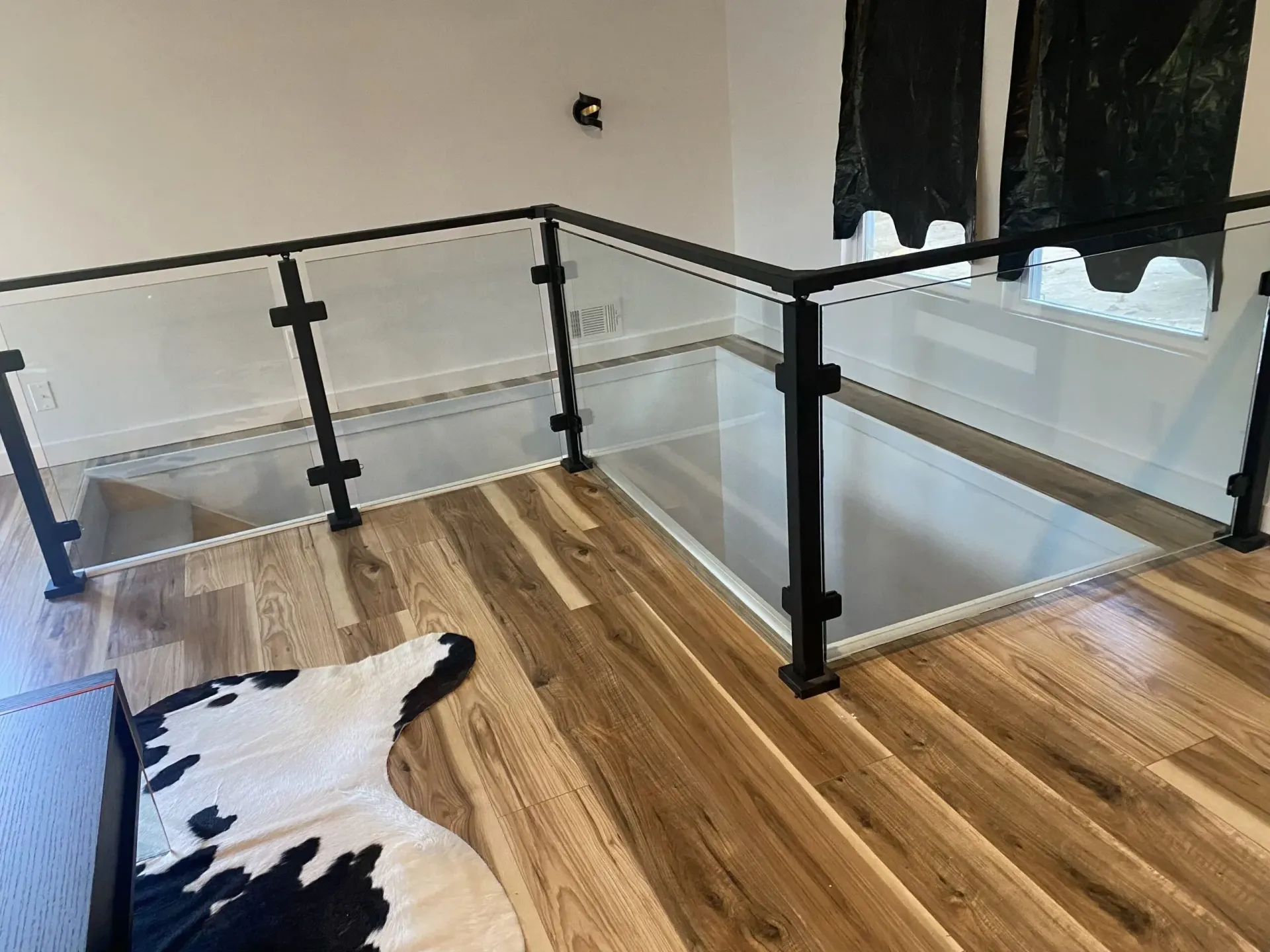Glass Hand Rails