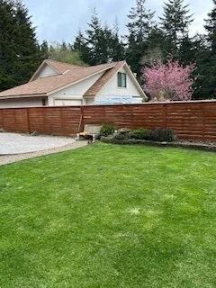 Backyard with green lawn, wooden fence, and a beige house with pink flowering trees beyond.