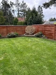 Backyard lawn with red wooden fence, shrubs, and tall trees beyond the fence