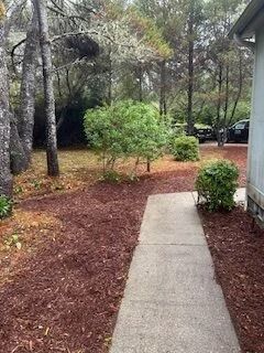 Concrete walkway through a wooded yard with shrubs and mulch beside a house
