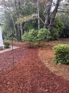 Mulched garden bed beside a paved path, with trees and shrubs in a wooded yard.