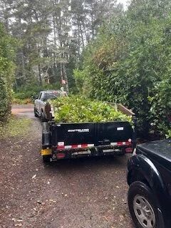 Black dump trailer loaded with branches parked on a wooded dirt driveway, with a pickup ahead.
