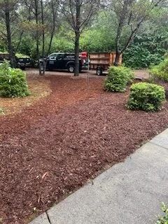 Wooded yard with mulch paths, shrubs, and parked trucks near a sidewalk