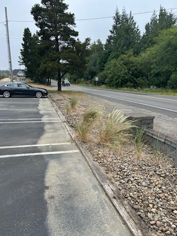 Parking lot beside a road with a black car, curbside rocks, and trees under an overcast sky