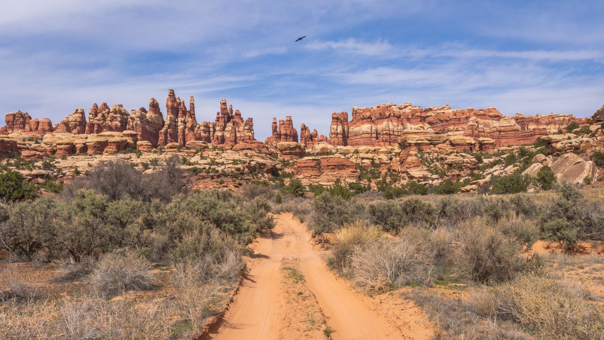 A dirt road in the desert with a mountain in the background.