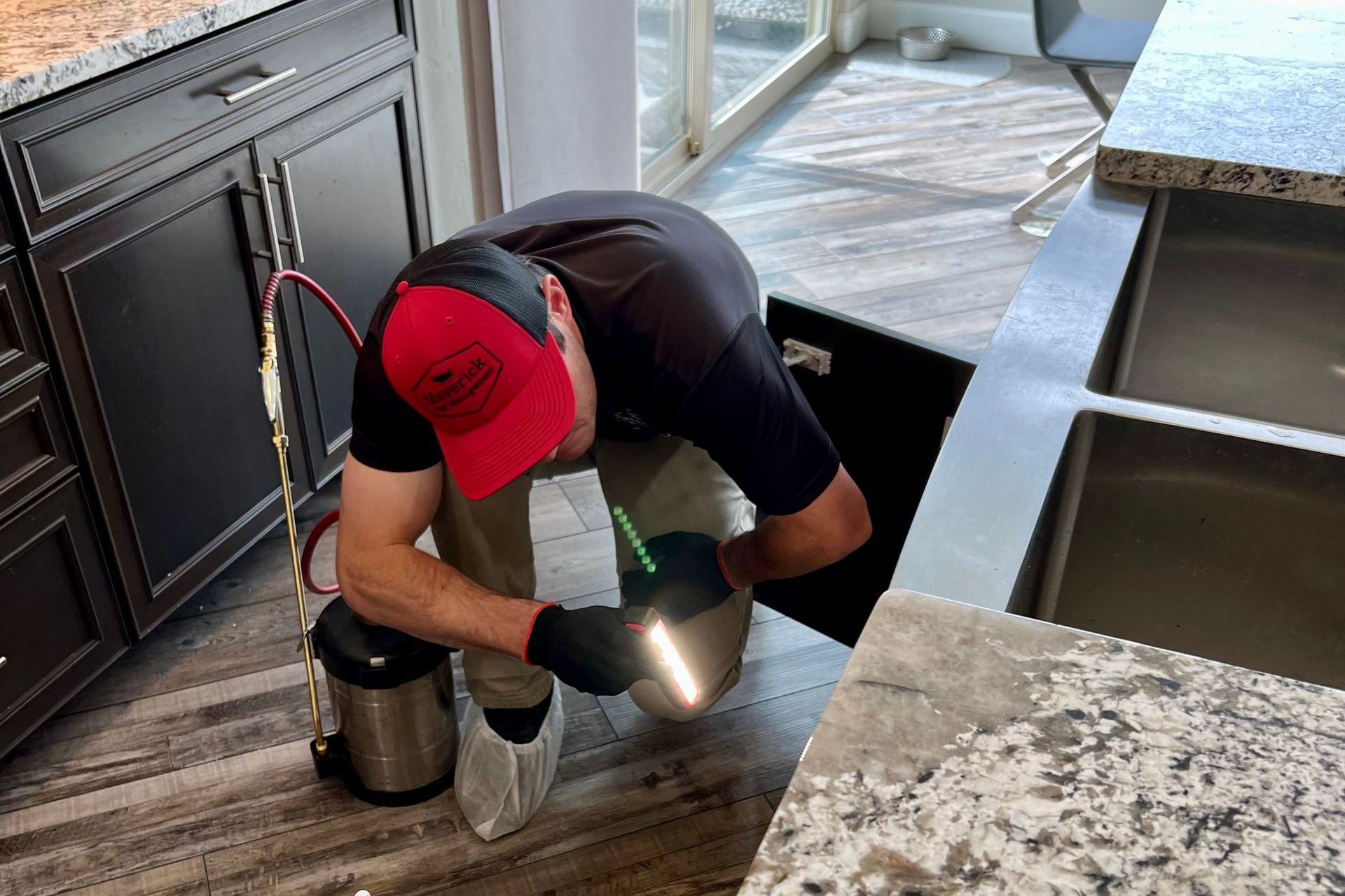 Pest Control Grand Junction, CO Maverick Pest Management