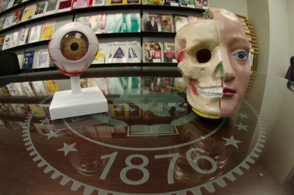 An eye and a skull are on a table with the year 1876 on it