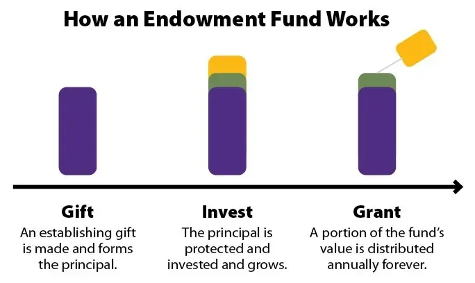 A graph showing how an endowment fund works