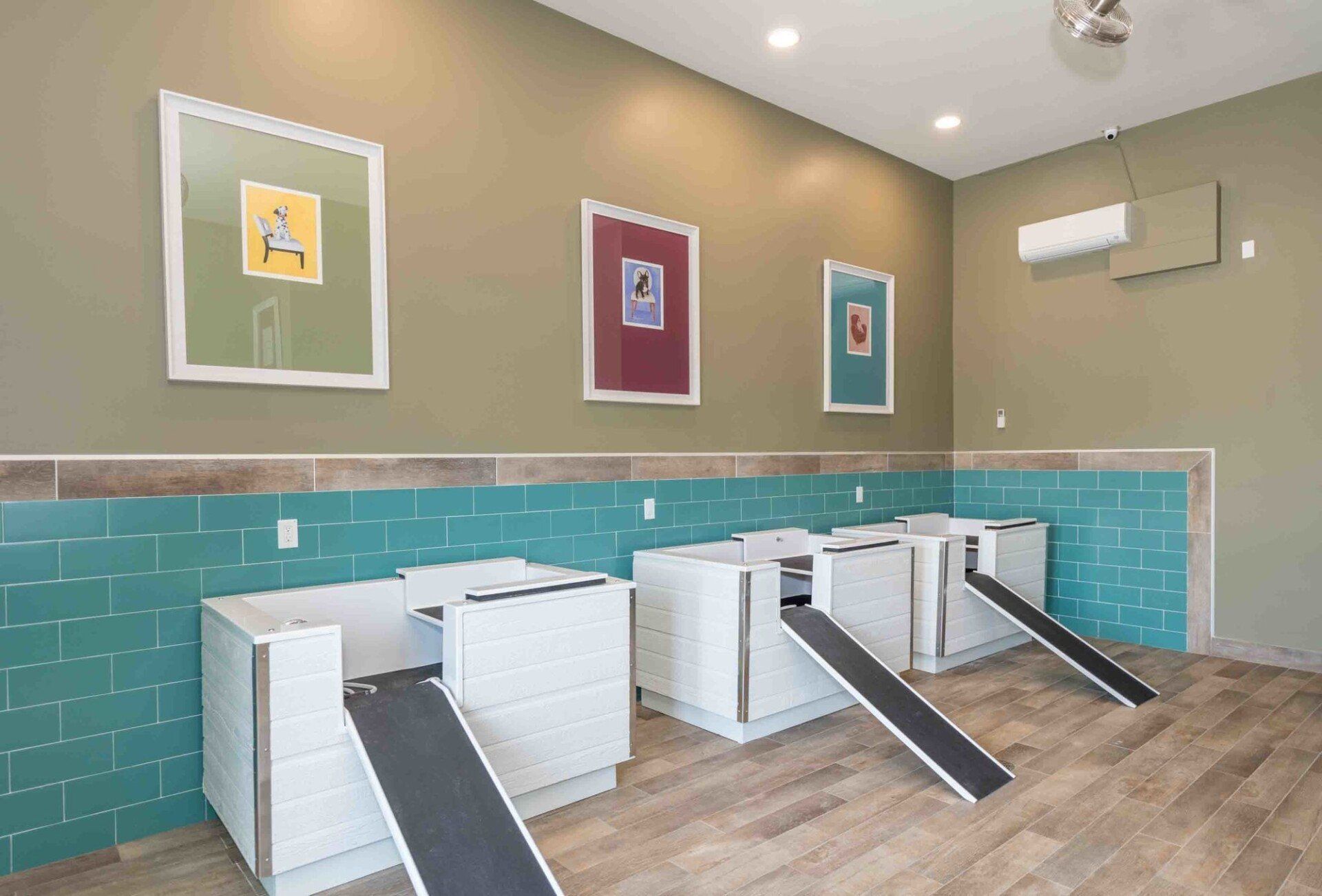 Three white, elevated dog wash stations with entry ramps against a teal-tiled wall in a room with light-colored flooring at Silver Collection at Celebrate apartment community in Fredericksburg, VA.