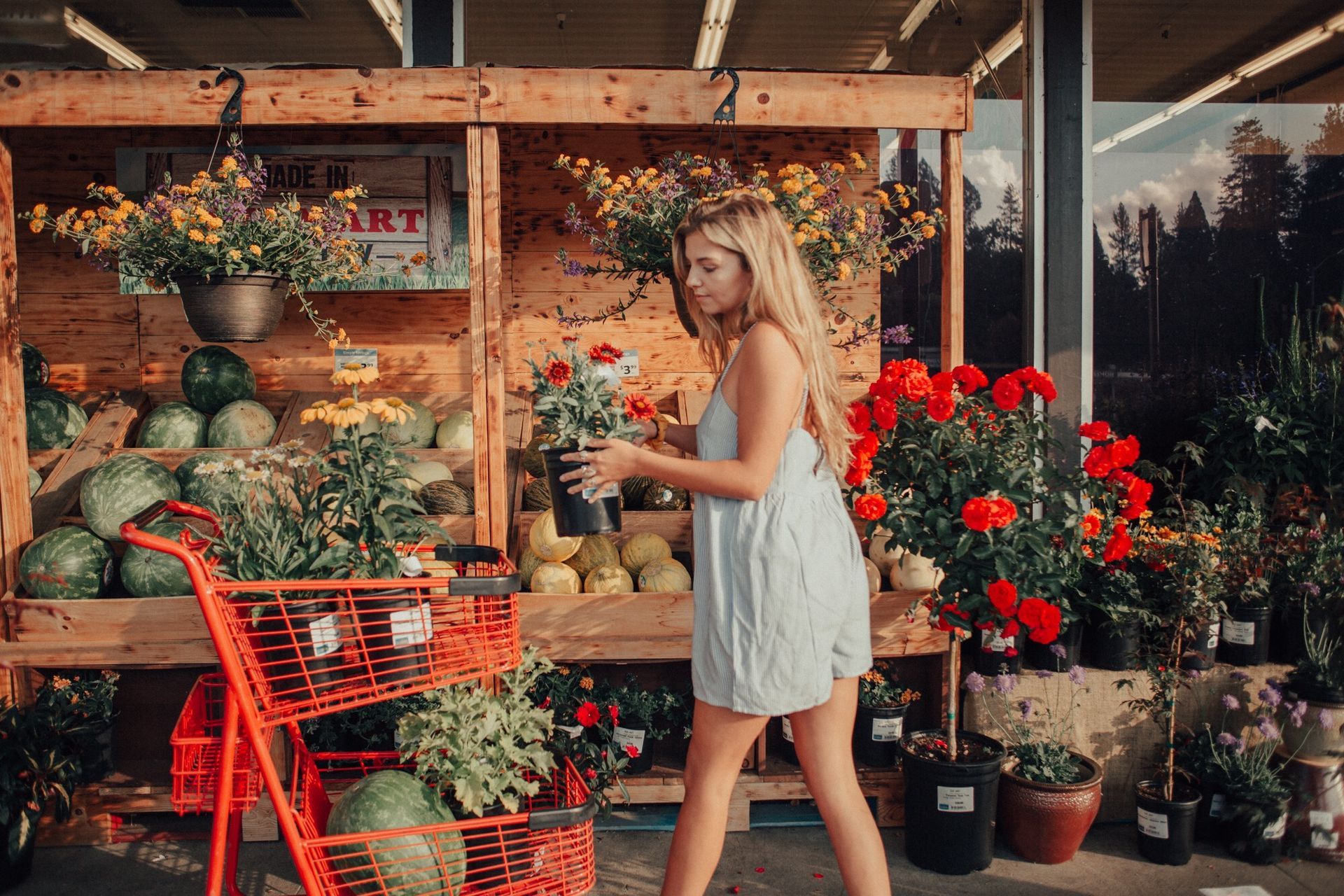 Woman in light blue outfit shops for plants at a market with red cart, flowers, and watermelons.