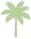 Green palm tree icon on a white background