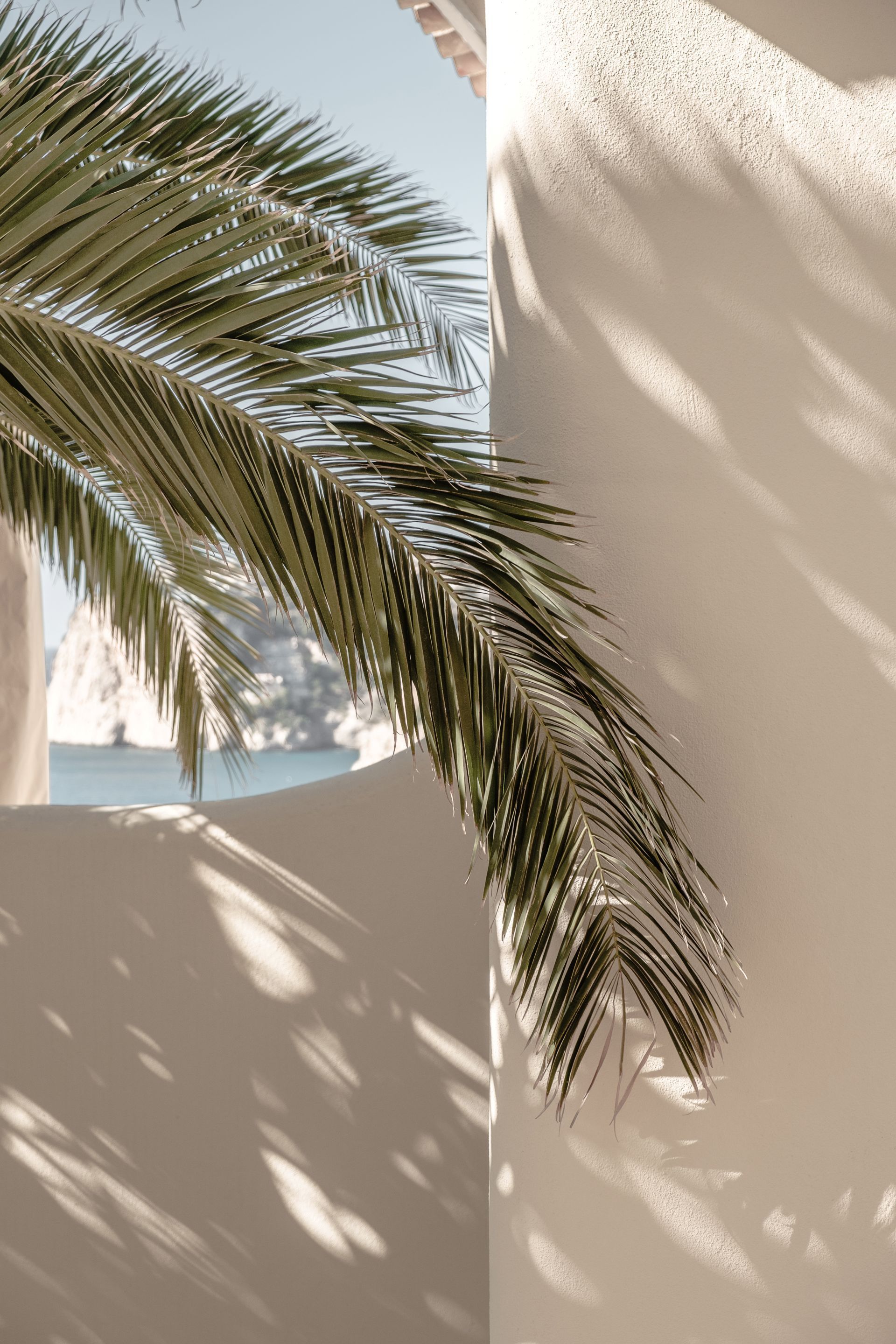 Palm frond casting shadows on a white stucco wall with a glimpse of blue sea beyond.
