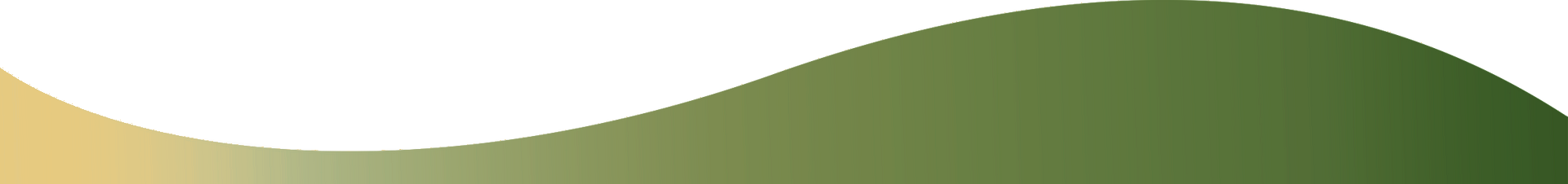 Abstract green and gold wavy banner with a white background