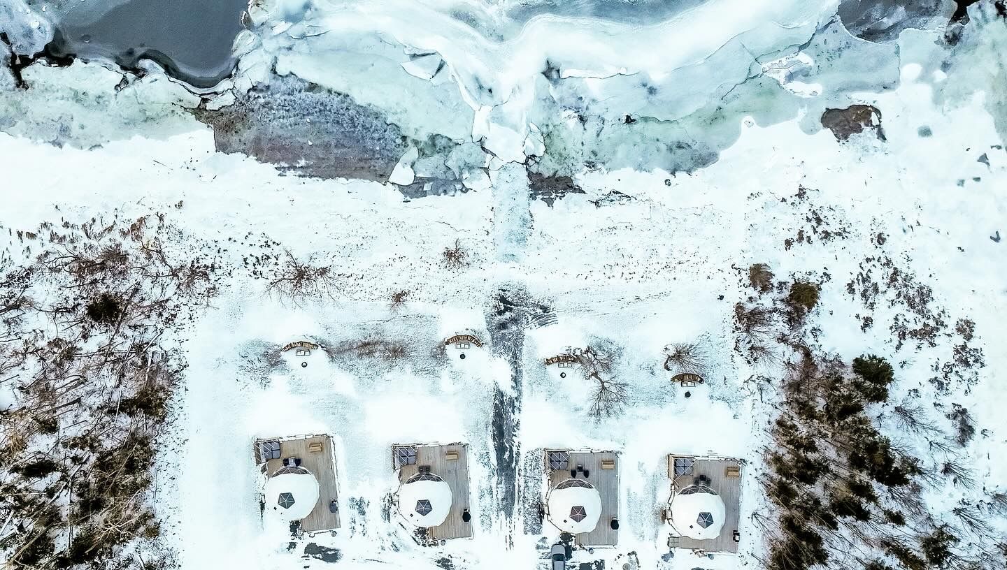 Winter Vibes